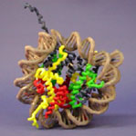 zoom in: Nucleosome