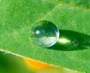 Büyük resim için tıklayınız