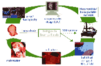 Daha büyük görmek için tıklayınız