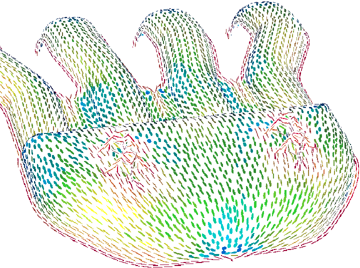 Büyük resim için tıklayınız