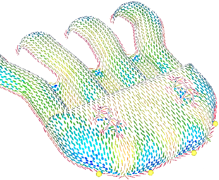 Büyük resim için tıklayınız