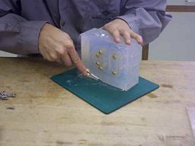 Dcp05000.jpg (84383 bytes)