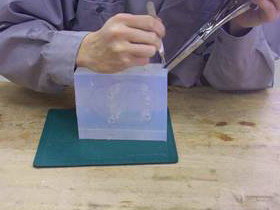 Dcp05004.jpg (83827 bytes)