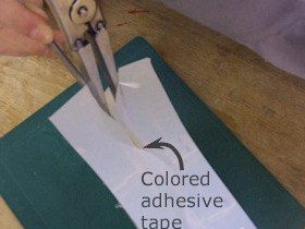 Dcp05008.jpg (72900 bytes)