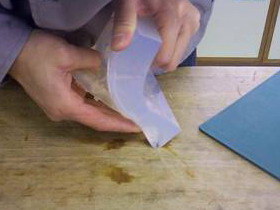 Dcp05016.jpg (79735 bytes)